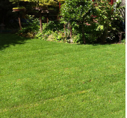 Lawn Turfing Services Bristol